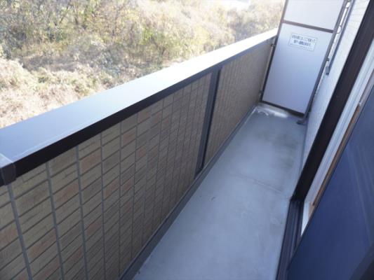 ﾊﾞﾙｺﾆｰ(ﾃﾗｽ)