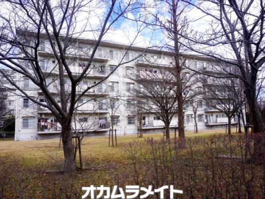 村上団地１街区２１号棟503