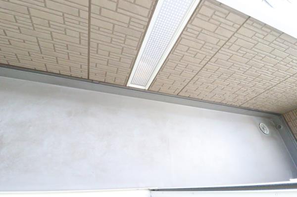 ﾊﾞﾙｺﾆｰ(ﾃﾗｽ)