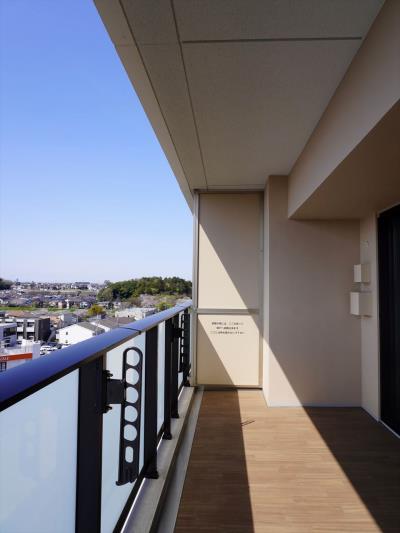 ﾊﾞﾙｺﾆｰ(ﾃﾗｽ)