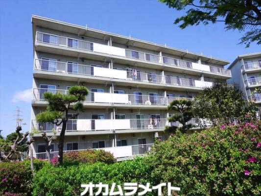 高津団地５街区１１棟501