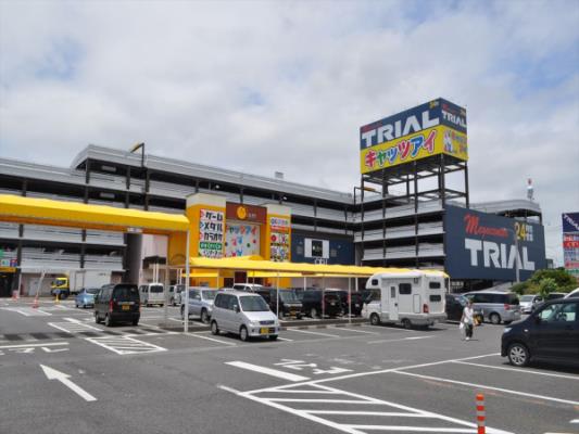 トライアル画像