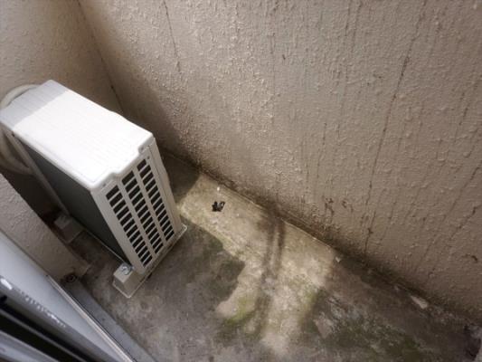 ﾊﾞﾙｺﾆｰ(ﾃﾗｽ)