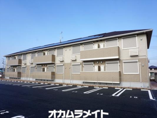 メタセコイア206