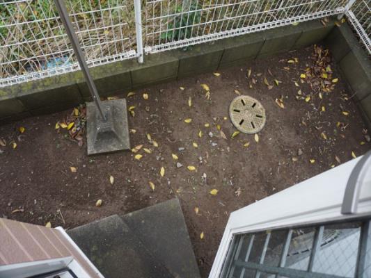 ﾊﾞﾙｺﾆｰ(ﾃﾗｽ)