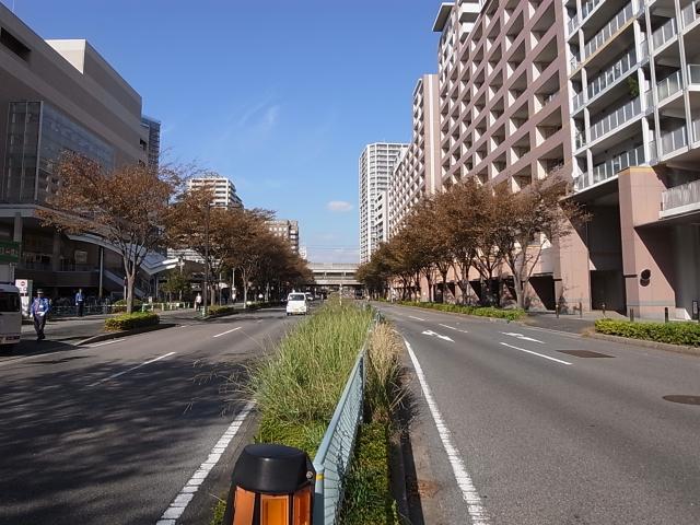 東葉高速線八千代緑が丘駅 写真3