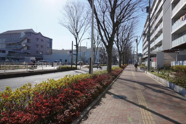 新京成線高根公団駅 写真3